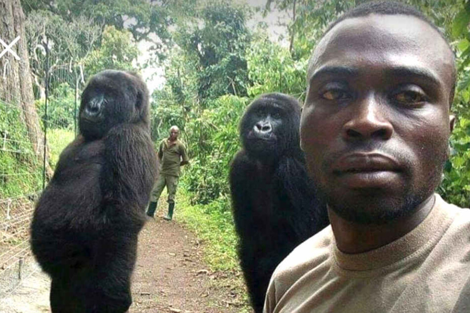 Matthieu Shamavu und zwei absolute Schränke von Gorillas