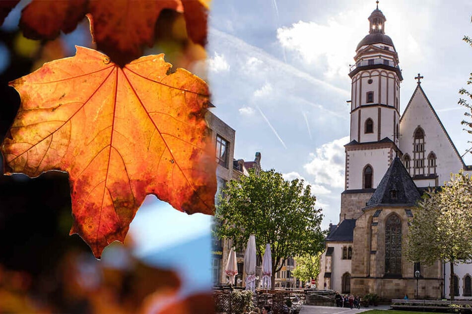 Die erste Novemberwoche wird noch mal richtig angenehm in Leipzig.