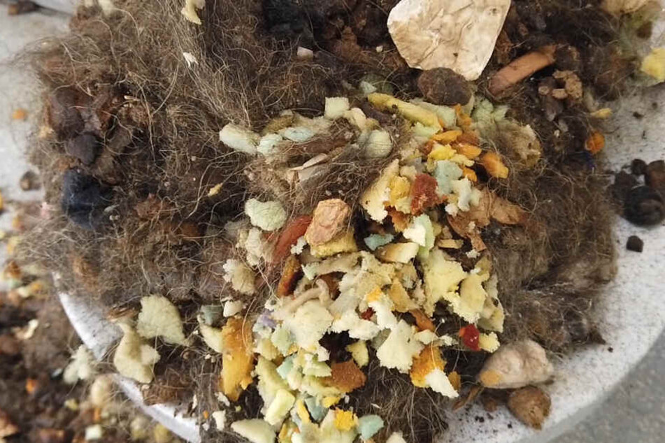 Ekelerregend: Der Versuch, Hundekot und Futterreste in einer öffentlichen Toilette in Zwickau zu entsorgen, ging gründlich schief.