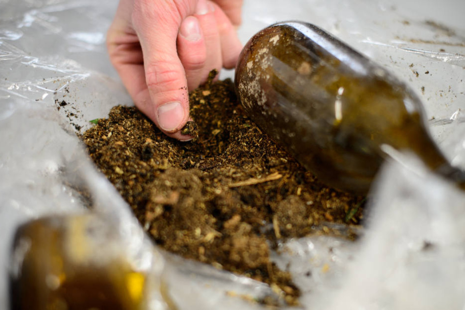 In einer Baumhöhle wurde eine Flasche mit Kotpillen und Teilen von Käfern gefunden.