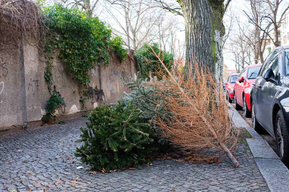 So wie hier in der Stubenrauchstraße am 9. Januar liegen vielerorts noch Weihnachtsbäume in Berlin.