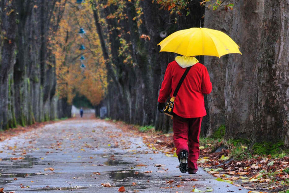 Der Regenschirm war im November unser ständiger Begleiter. (Symbolbild)