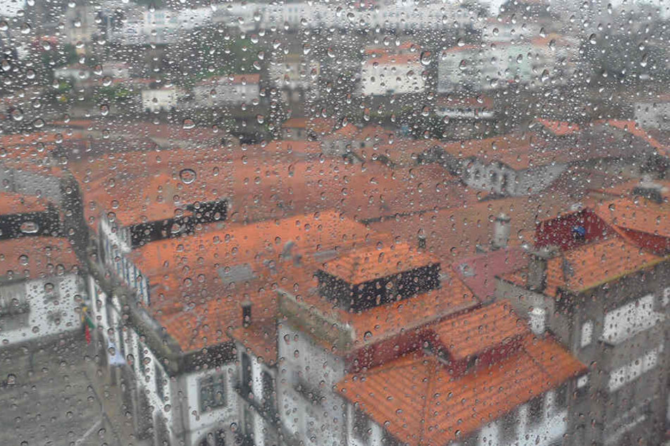 Ein Einsatz von veredelten
Verbundgläsern kann sich trotz höherer Anschaffungskosten an der Wetterseite
von Häusern auf Dauer auszahlen.