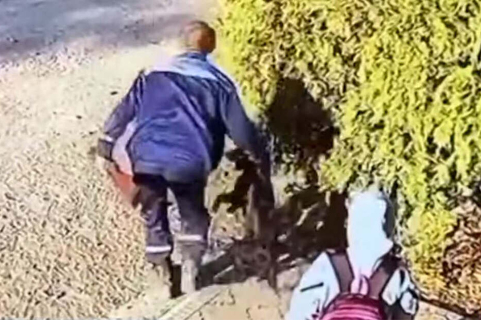 Shynali Risbibi sah schockiert zu, wie der Hundefänger ihren Hund mitnahm.