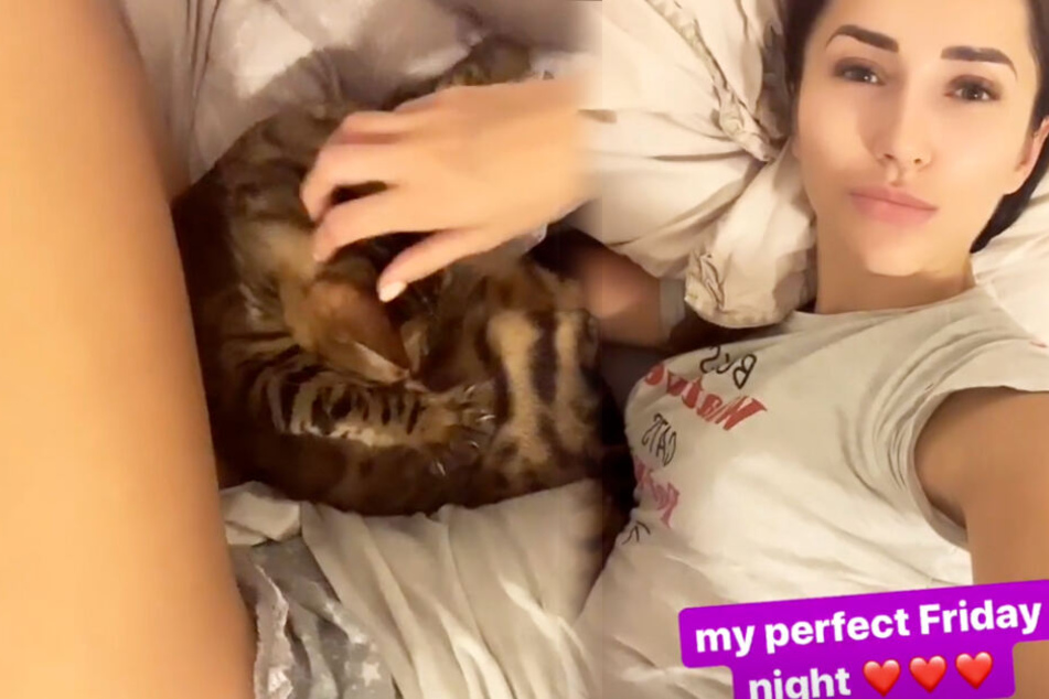Das Model und frühere Playmate ist eine große Katzen-Liebhaberin.