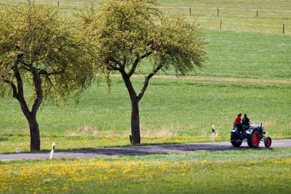 Mit der Sanierung von Landstraßen will die Regierung mehr Menschen in die ländlichen Gegenden locken. (Symbolbild)