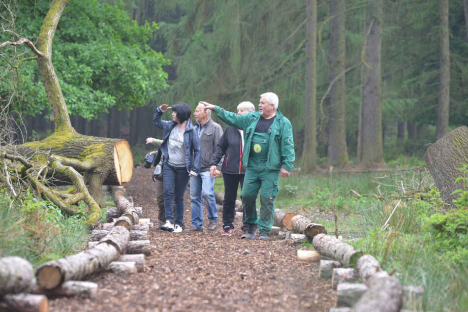 Neuer Besucherpfad im Wildgatter Rabenstein. Revierleiter Gerhard Wittig (62) und Mitglieder des Fördervereins eröffneten die Attraktion am Mittwoch.