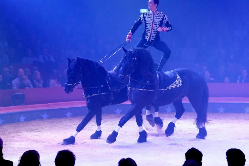 Ivan Knievom Schweizer National-Circus Gebrüder Knie zeigt am 07.12.2017 bei der Premiere der 25. Ausgabe des Weltweihnachtszirkus in Stuttgart eine Pferdedressur. (Archivbild)