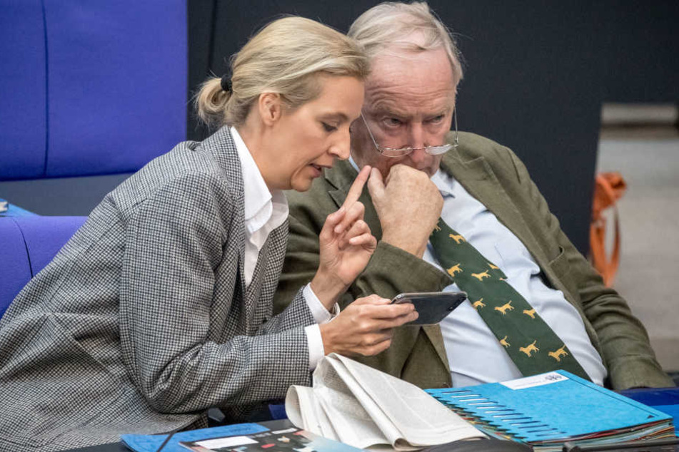 Alice Weidel (AfD) spricht während einer Bundestagssitzung mit ihrem Co-Fraktionsvorsitzenden Alexander Gauland.