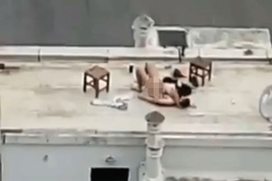 Dieses Pärchen gab sich mitten am Tag seiner Leidenschaft hin.