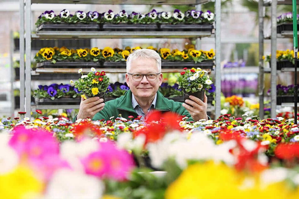 Kunterbunte Fruhlings Boten Lauern Schon In Den Regalen Tag24