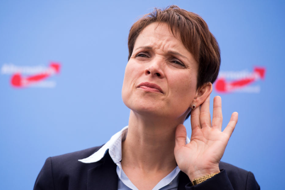 Der Immunitätsausschuss des Sächsischen Landtags hat dem Parlament die Aufhebung der Immunität von Frauke Petry nahegelegt.