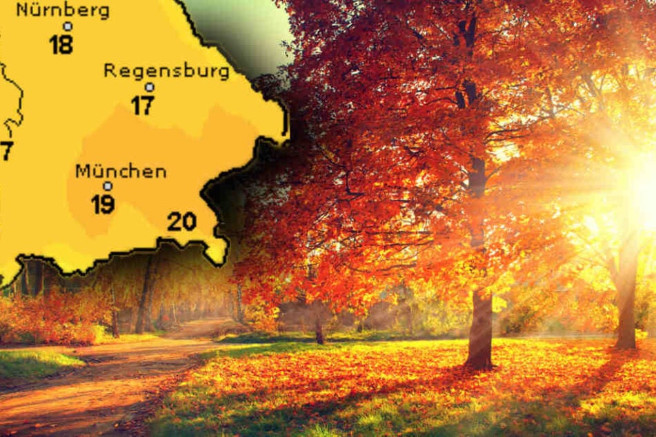 Am Dienstag gibt es nochmal einen richtigen goldenen Herbsttag. (Symbolbild)