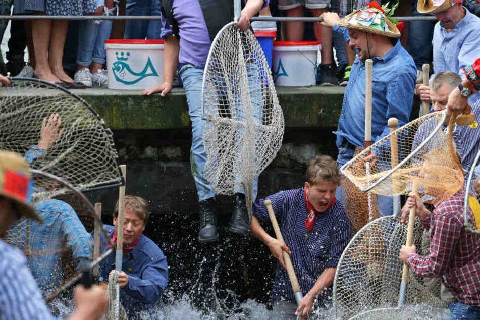 Letztes Jahr kamen rund 1200 Menschen zum Fischerstechen.