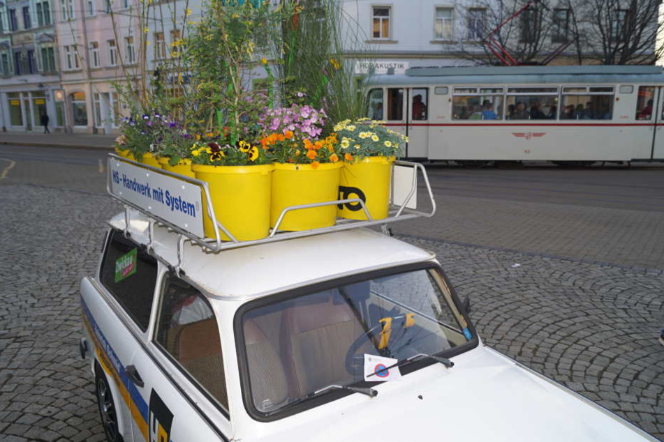 Ein mit Blumen dekorativ hübsch hergerichteter Trabant war von der Firma am Freitag auf dem Schumannplatz geparkt worden - und bekam einen Strafzettel.