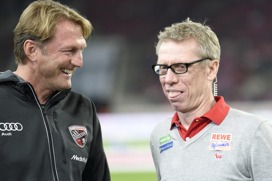 Ralph Hasenhüttl (l.) und Peter Stöger trafen sich vergangenen Saison schon. Da trainierte der RB-Coach noch Ingolstadt.