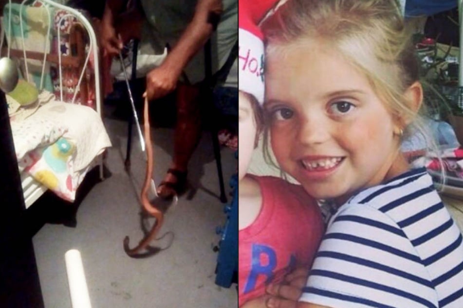 Die kleine Mikayla-Sue Grove (6) hat einen echten Alptraum durchlebt: Sie wurde im Schlaf von einer Kobra gebissen.