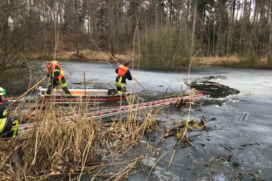 Der Hund war vermutlich einem anderen Tier hinterher gerannt und dabei ins eiskalte Wasser geraten.