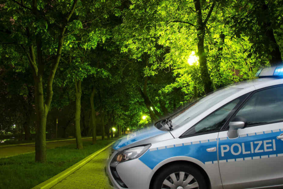 Im Stadtpark hatten die Teenies das junge Mädchen belästigt. (Symbolbild)