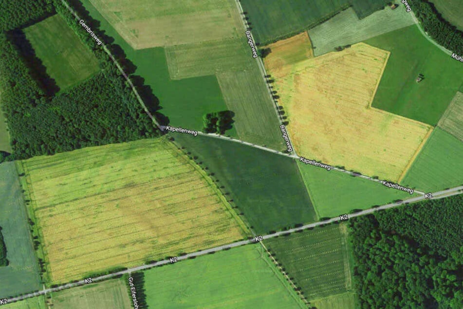In diesem Bereich soll die Volkssternwarte entstehen.