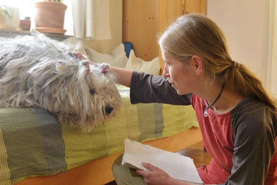 Hundedame Ida (10) ist Kirsten Heymann (35) besonders nah. Mit ihr spricht die Tierflüsterin schon seit vielen Jahren.