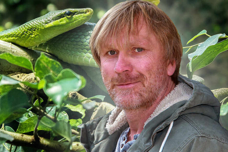 Wirklich länger sehen die Haare von Ansgar Brinkmann vorher auch nicht aus.