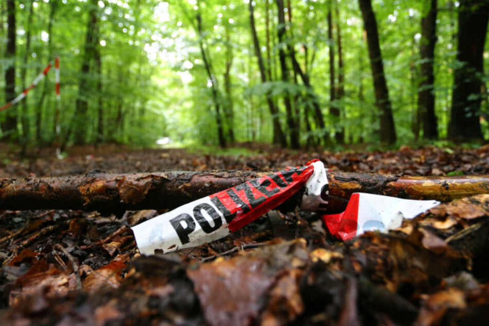Bereits im November 2018 wurde das ein Teil des Waldstücks abgesucht (Symbolfoto).