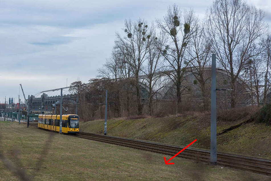 Hier am westlichen Wiener Platz am Hauptbahnhof könnte der Fernbusbahnhof entstehen.