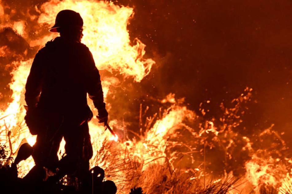 Mitten in einer brennenden Wiese entdeckte die Feuerwehr eine Leiche. (Symbolbild)