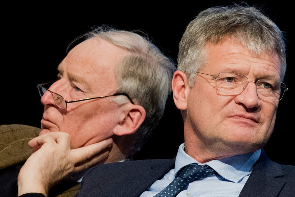 Alexander Gauland und Jörg Meuthen, die (neue) Doppelspitze der Alternative für Deutschland.