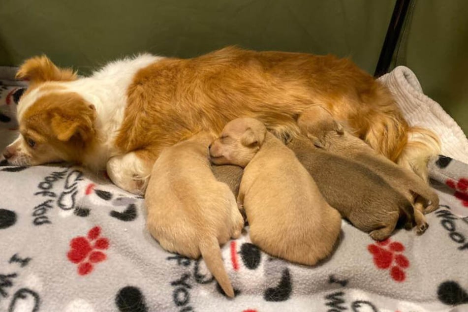 So süß: Adoptivmama Rosa in ihrem Element.
