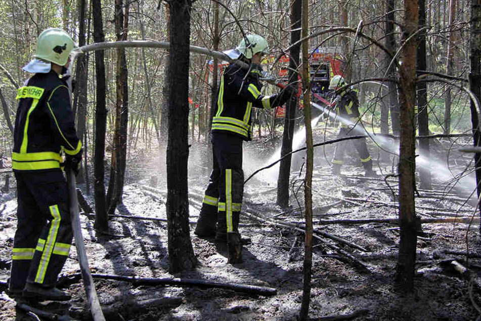 Die Feuerwehr musste in den vergangenen Tagen fünf Waldbrände um Weinböhla
löschen.