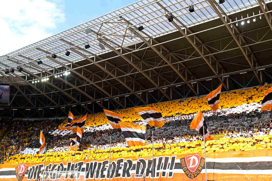 Bei der Rückkehr in die 2. Liga hatten die Dynamo-Fans ihre Choreografie gezeigt, dieses Motto sollten die Kicker morgen mit Leben füllen, sonst kreist das Abstiegsgespenst im DDV-Stadion.