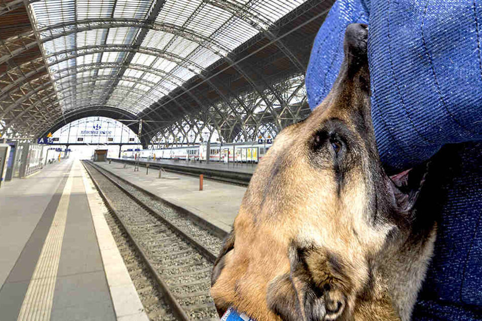 Der Hund biss die Polizistin unvermittelt in die Wade.