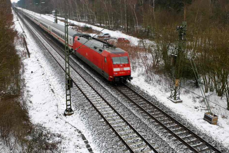 Der mit rund 200 Passagieren besetzte Zug raste in einen brennenden Baum. (Symbolfoto).