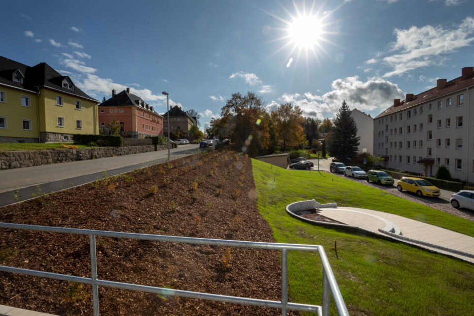 Auf der Brache im Wohngebiet Eichert wächst schon Gras - bald kommen noch Obstbäume dazu.