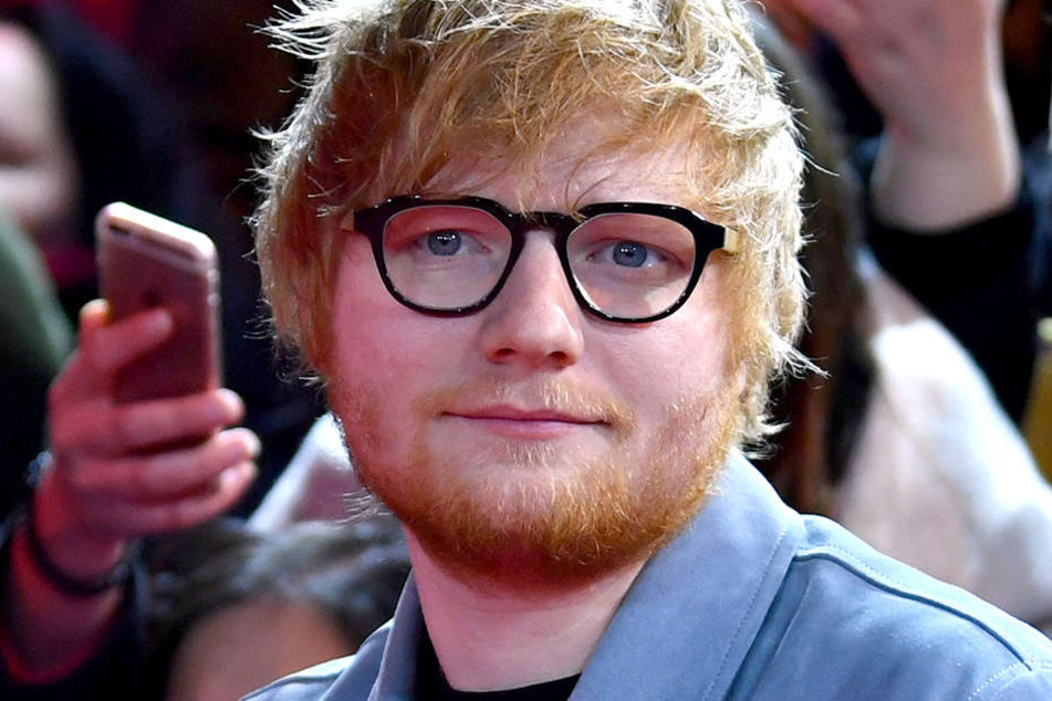 Ed Sheeran wich erst einer lokalen Vogelpopulation. Jetzt soll er den Bäumen weichen - und nicht umgekehrt.