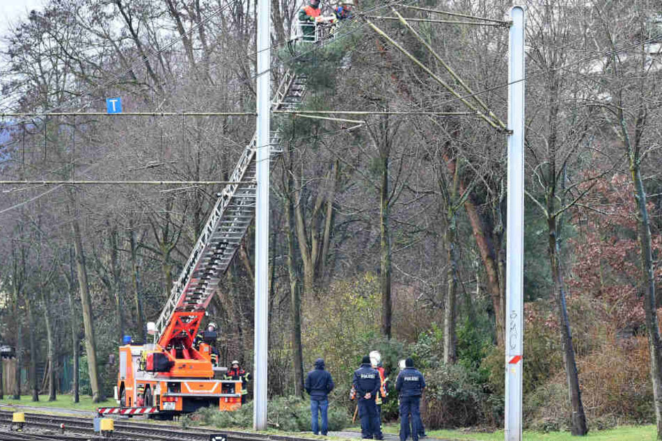 Polizisten und Feuerwehrleute versuchen einen auf die Oberleitung herabstürzenden Baum in Schach zu halten.