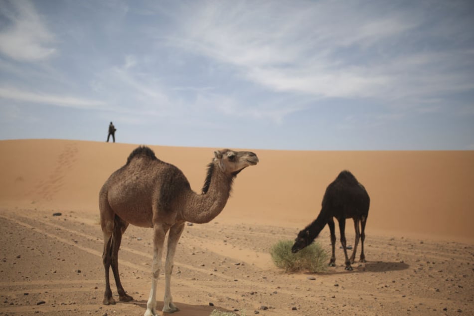 Heiße Wüstenluft aus der Sahara bringt in den Urlaubsländern Spanien, Südfrankreich, Italien und Kroatien bis hin nach Griechenland und in die Türkei Höchstwerte.