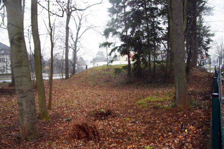 Noch sieht das Areal, wo das Wohnheim bald entstehen soll, eher wüst aus.
