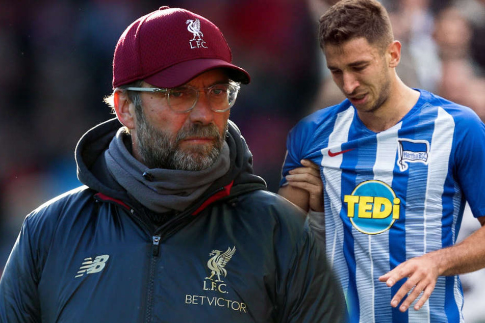 Marko Grujic steht regelmäßig mit Jürgen Klopp in Kontakt. (Bildmontage)