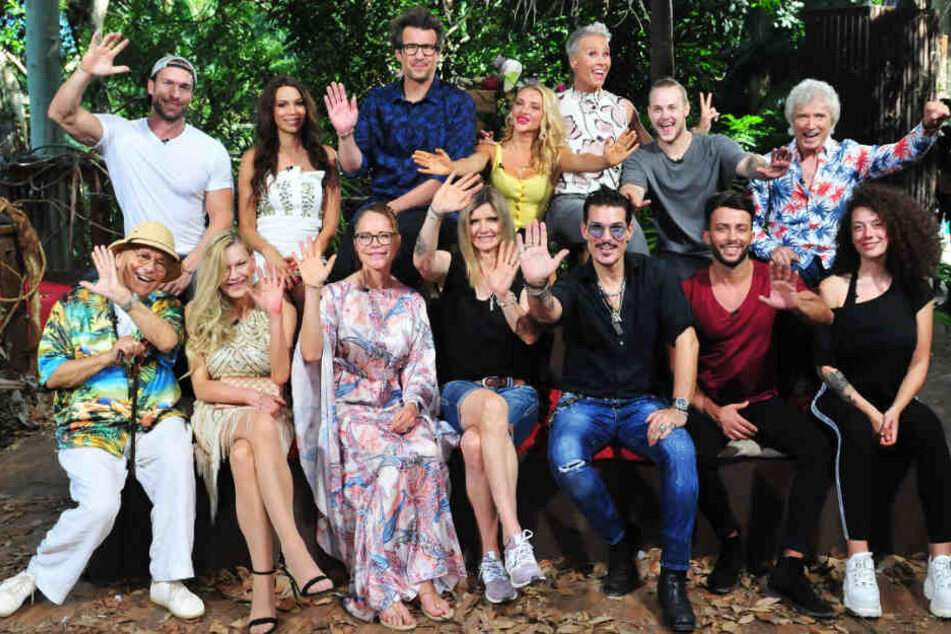 Hier grüßen sie noch aus dem Dschungel: Die Promis und die Moderatoren des RTL-Dschungelcamps 2019.