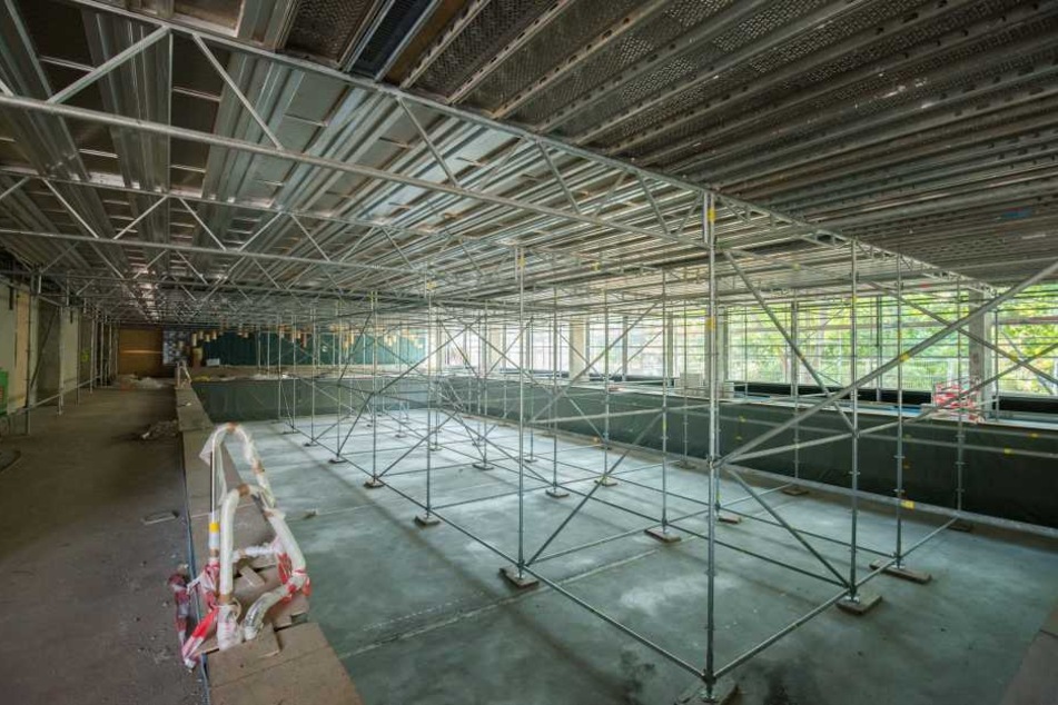 Die Sanierung der Schwimmhalle Gablenz dauert länger, die Wiedereröffnung ist für Anfang April geplant.