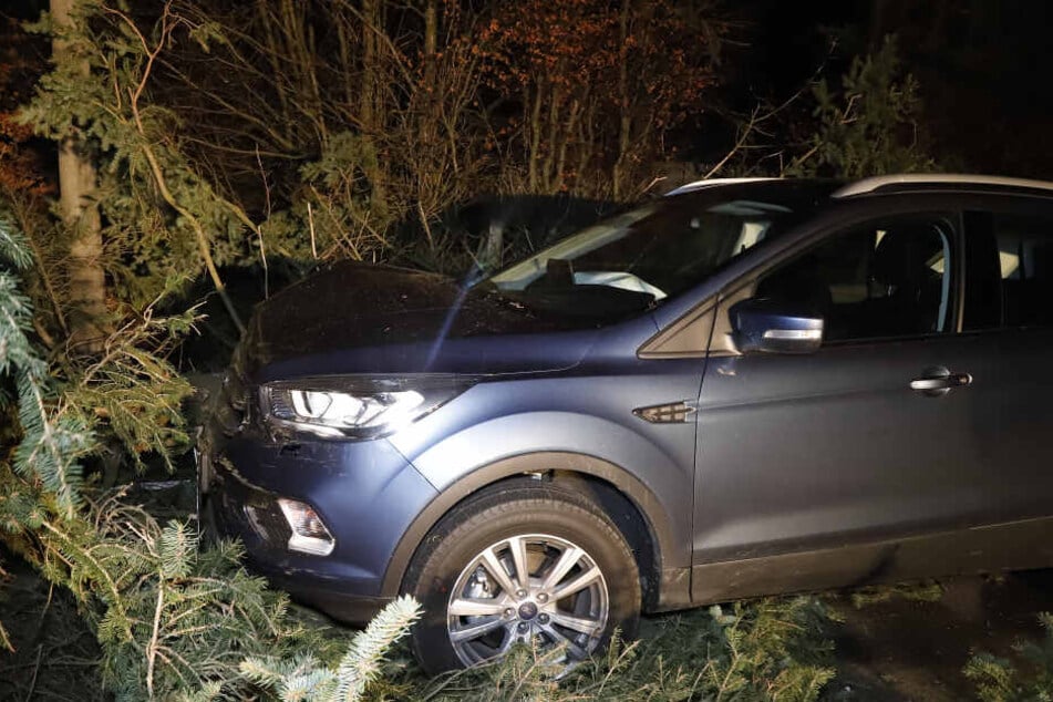 In Mittelbach fiel ein Baum vor ein fahrendes Auto. Die Fahrerin wurde verletzt.