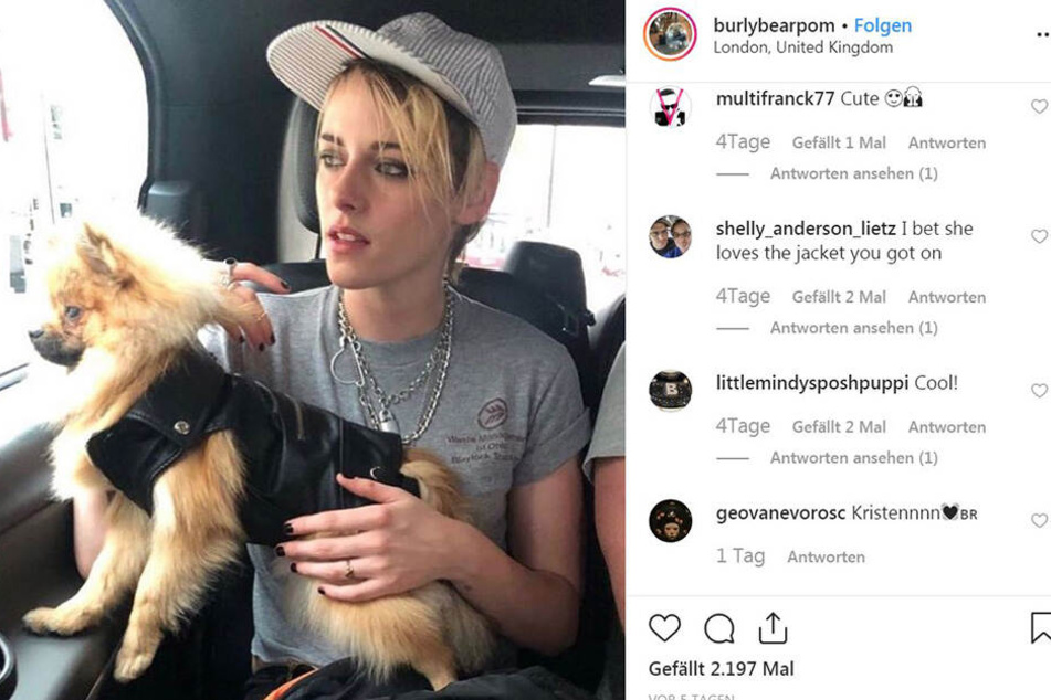 Kristen Stewart (29) ist im Hintergrund zu erkennen. Doch auch in diesem Foto zählt vor allen Dingen Burly...
