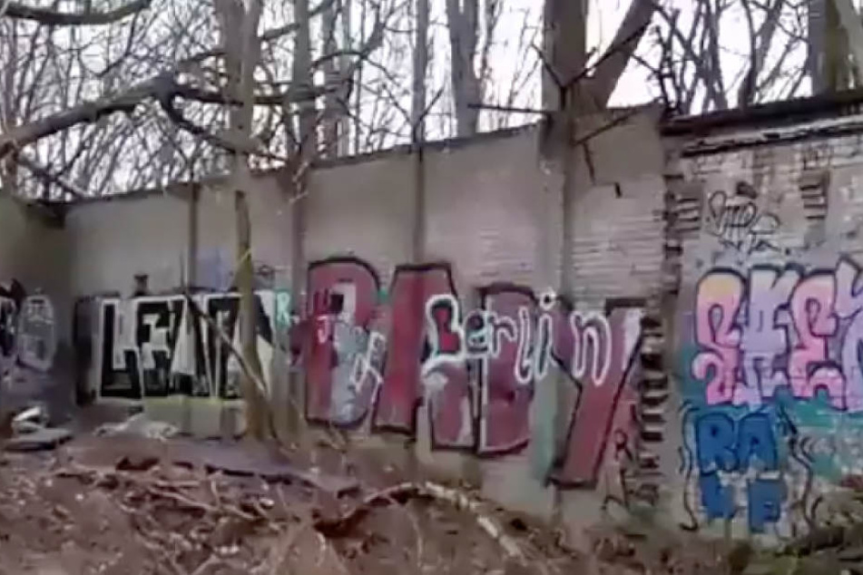 Das letzte Stück Ur-Mauer schlummert in einem Waldstück in Berlin-Schönholz.