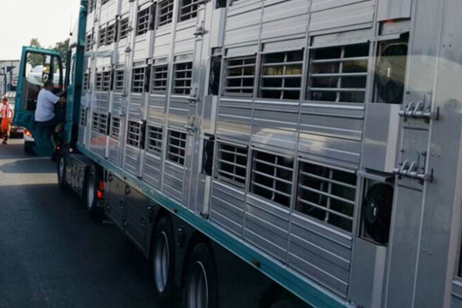 Das Auto kam in den Gegenverkehr und krachte dort frontal mit dem Lkw zusammen. (Symbolbild)