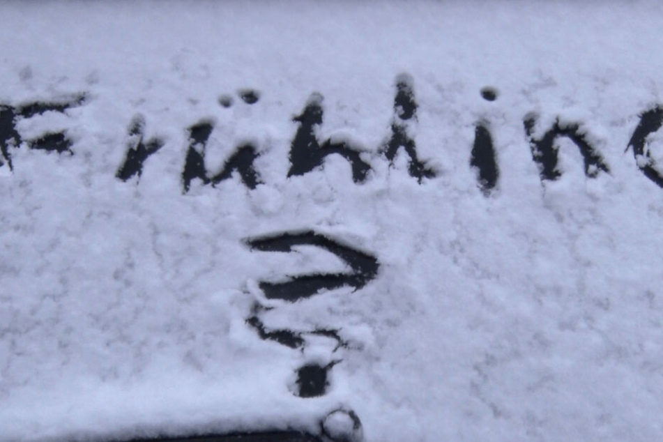 Das fragen sich viele: Wo bleibt der Frühling 2019?