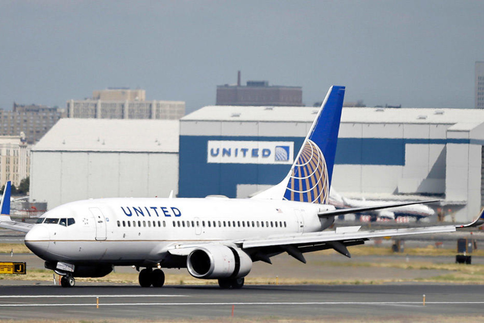 In einer United-Airlines-Maschine wollte eine Frau gern neben einem Vogel sitzen.