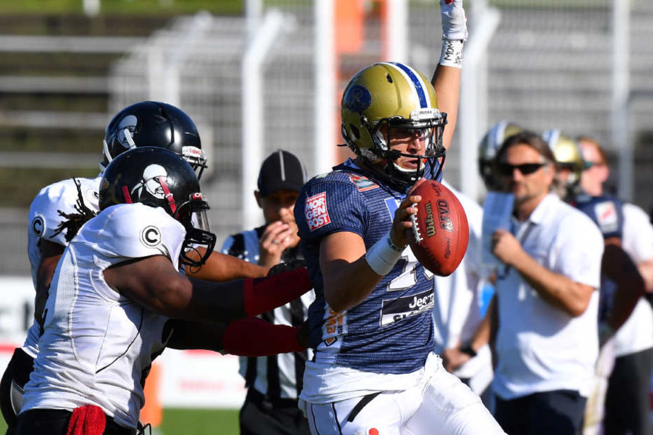 Quarterback Garrett Safron (Dresden) wird von der Berliner Defense ins Aus
gedrängt.